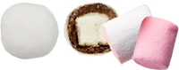 zaxaropolis mychoco